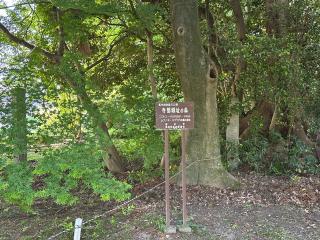 寺部城の登城記録(清正さん)