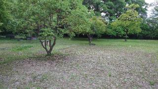 寺部城の登城記録(オカドンさん)