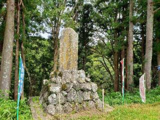 長篠城の登城記録(本多百助さん)