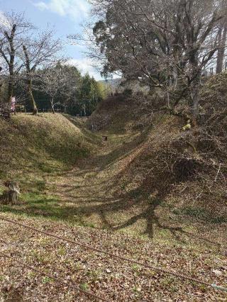 長篠城（末広城・扇城）の登城記録(くぺさん)