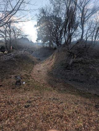 長篠城（末広城・扇城）の登城記録(千　百万さん)