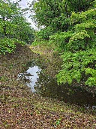 長篠城（末広城・扇城）の登城記録(jinさん)