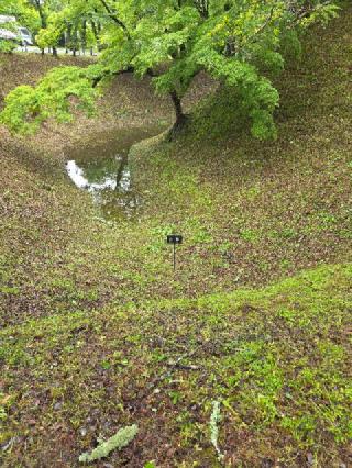 長篠城（末広城・扇城）の登城記録(jinさん)