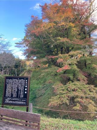 長篠城の登城記録(ミッチーさん)