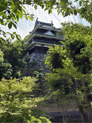 西尾城（鶴城・鶴ヶ城・錦丘城・西条城）の登城記録(チョコ康さん)