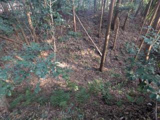 野田城の登城記録(泰成さん)