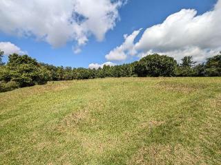 四稜郭の登城記録(泰成さん)