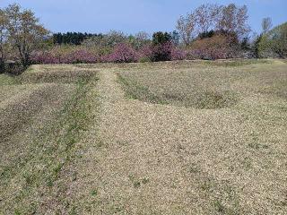 四稜郭の登城記録(ケムパパさん)