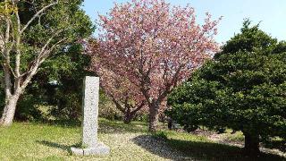 四稜郭の登城記録(熱気バサラさん)