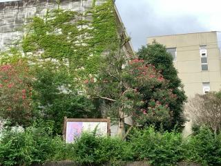 伊勢長島城の登城記録(くーさん)