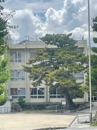 伊勢長島城の登城記録(hideさん)