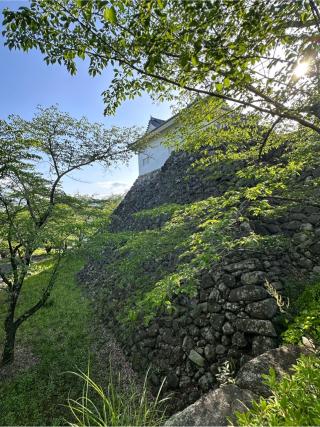 亀山城の登城記録(しえるさん)
