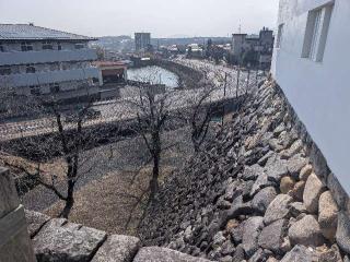 亀山城の登城記録(泰成さん)