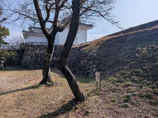 亀山城の登城記録(泰成さん)