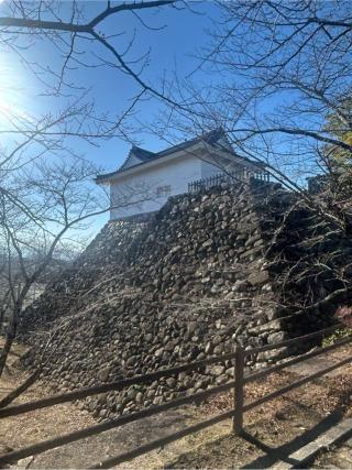 亀山城の登城記録(かのんさん)