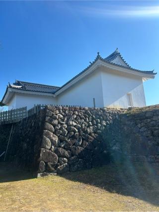 亀山城の登城記録(かのんさん)