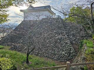 亀山城の登城記録(秀さん)