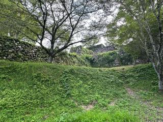 田丸城の登城記録(清正さん)