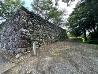 田丸城の登城記録(清正さん)