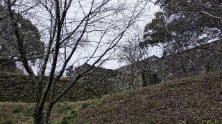 田丸城の登城記録(ポッキーさん)