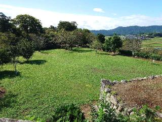 田丸城の登城記録(syuさん)