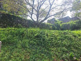 田丸城の登城記録(jinさん)