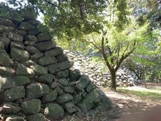 神戸城の登城記録(くーさん)