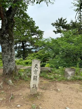 松坂城の登城記録(しえるさん)