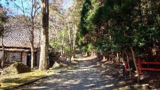 霧山城の登城記録(オカドンさん)
