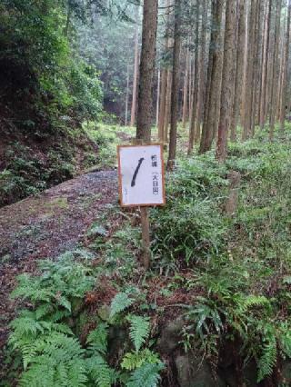 枳城の登城記録(タケローさん)