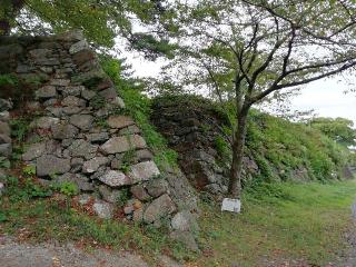 鳥羽城の登城記録(じゅんぺいさん)