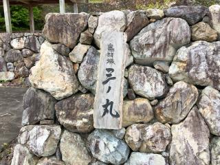 鳥羽城の登城記録(名古屋 山三郎さん)