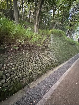 伊賀上野城の登城記録(清正さん)