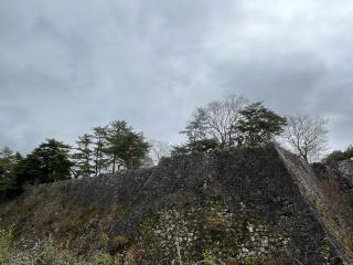 伊賀上野城の登城記録(7372さん)