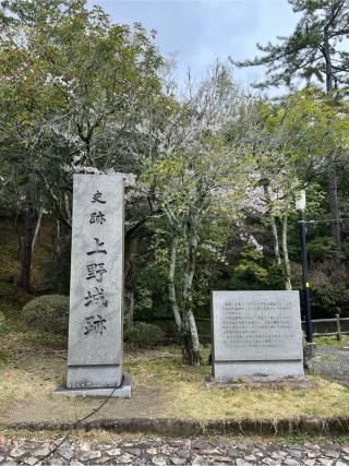 伊賀上野城の登城記録(7372さん)