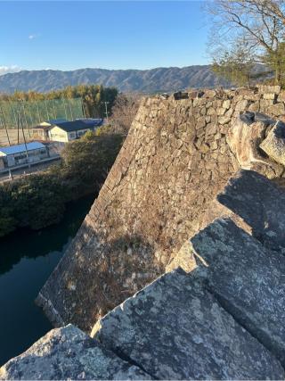 伊賀上野城の登城記録(かのんさん)