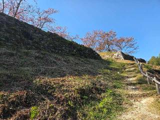 赤木城の登城記録(jinさん)