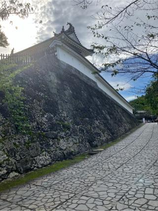 白石城の登城記録(監督さん)