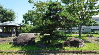 伊勢長島城の登城記録(オカドンさん)