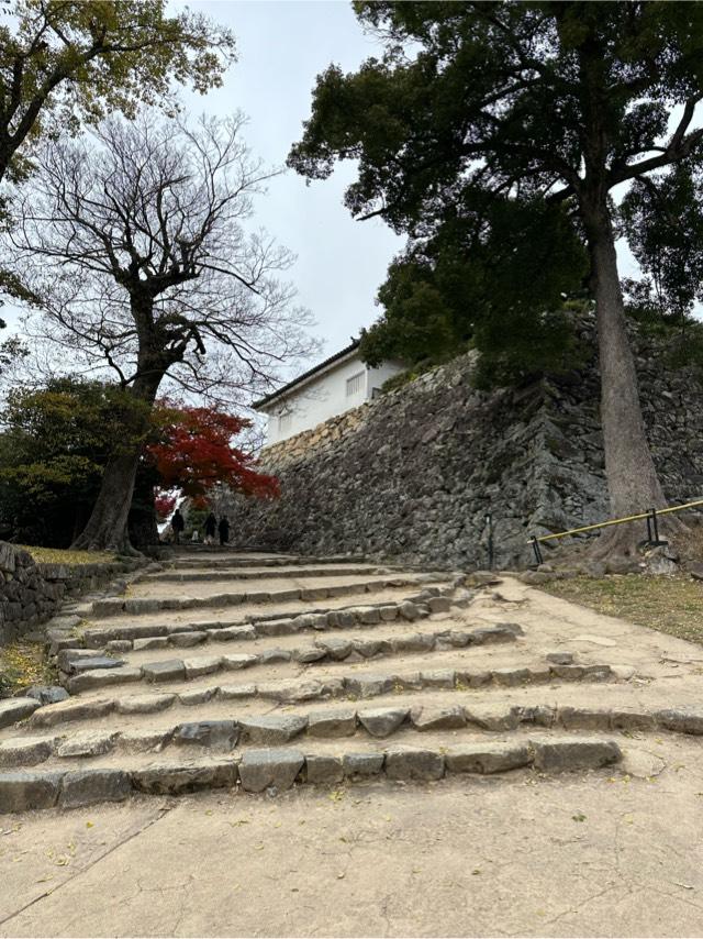 滋賀県彦根市金亀町１−１ 彦根城（金亀城）の写真3