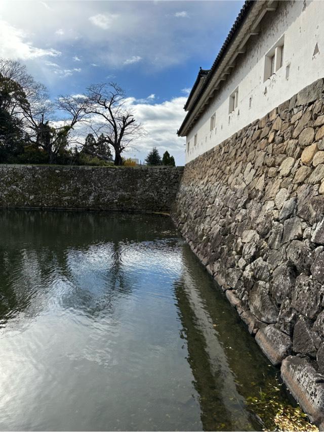 滋賀県彦根市金亀町１−１ 彦根城（金亀城）の写真4