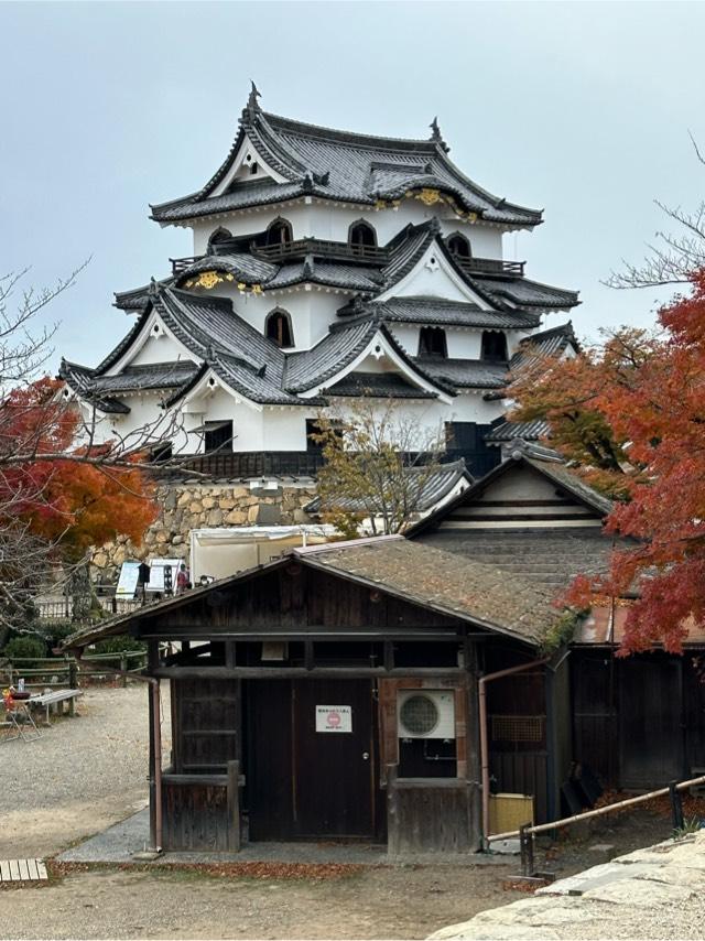 滋賀県彦根市金亀町１−１ 彦根城（金亀城）の写真5