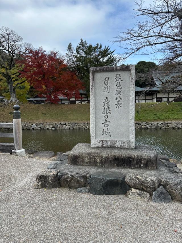 滋賀県彦根市金亀町１−１ 彦根城（金亀城）の写真6