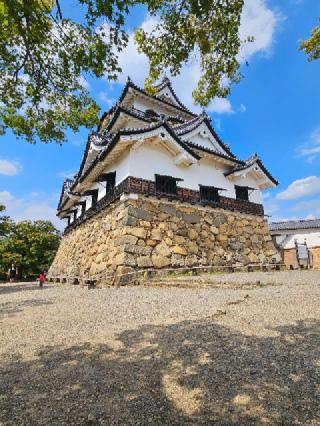 彦根城の登城記録(お豆さん)