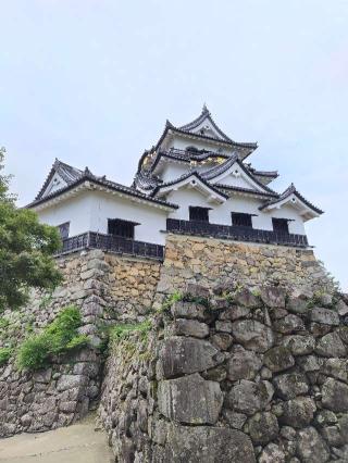 彦根城（金亀城）の登城記録(はるけいぱぱさん)