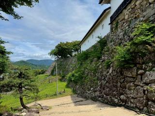 彦根城（金亀城）の登城記録(Chineさん)