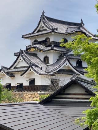 彦根城（金亀城）の登城記録(マサルさん)