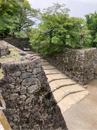 彦根城（金亀城）の登城記録(マサルさん)