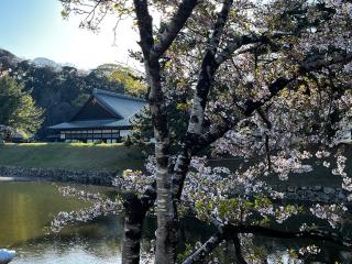 彦根城（金亀城）の登城記録(yasuさん)