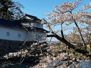 彦根城（金亀城）の登城記録(yasuさん)